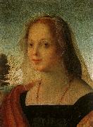 Rosso Fiorentino Portrait of a Young Woman oil painting on canvas